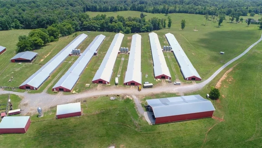 An overhead shot of 8 parallel long barns. The grass and trees around are a lush green.